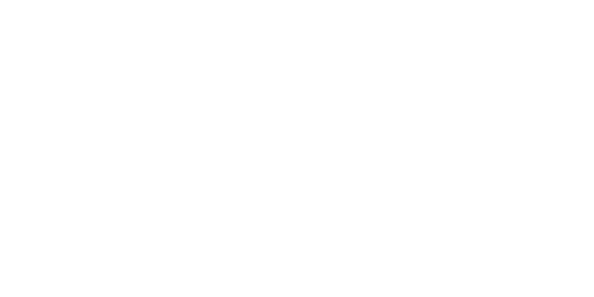 Bizzupp Logo